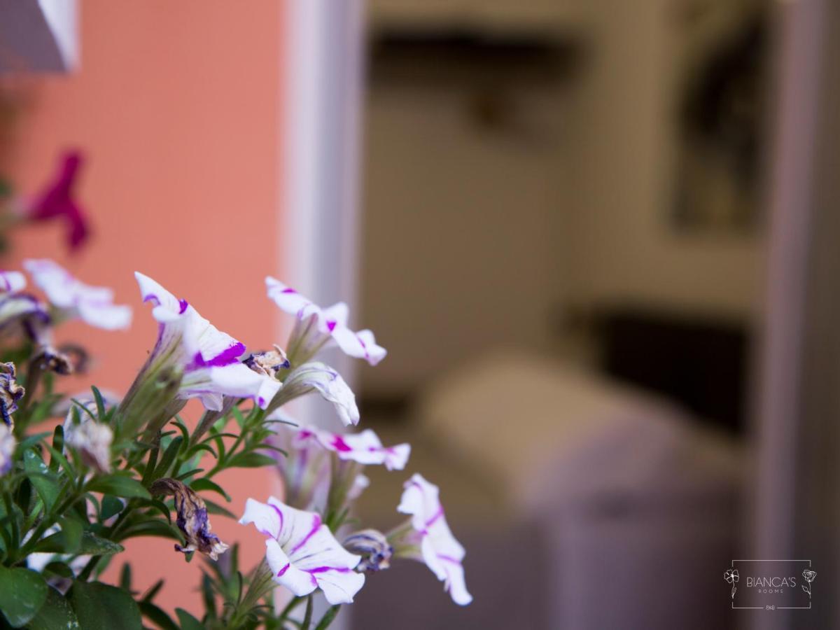 Bianca'S Rooms تراني المظهر الخارجي الصورة